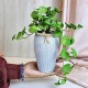 Artificial Plants